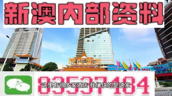 2025年新澳，最精准正与最全大全的词语释义与落实