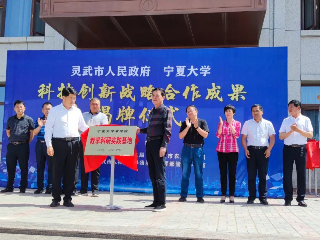 精选解析，落实新澳资料，打造高效学习与工作指南