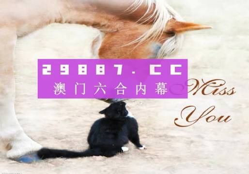 澳门4949今晚上开奖，精选解析与解释落实