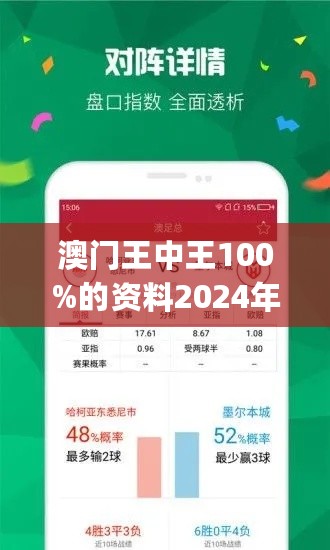 澳门王中王，文化、经济与社会的深度解析
