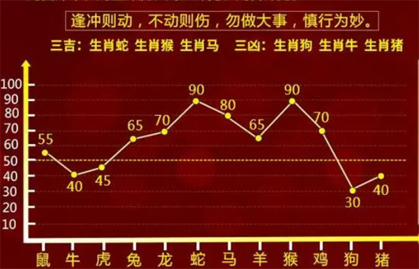一肖一码一中一特，精选解析解释落实
