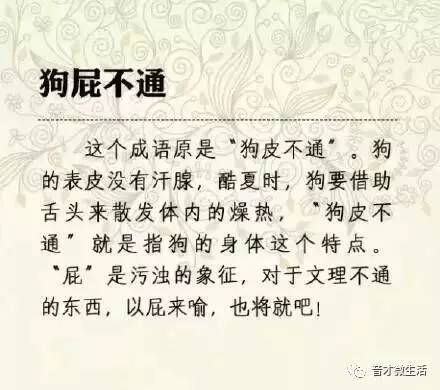 澳门一码一肖一待一中四不像一，词语释义解释落实