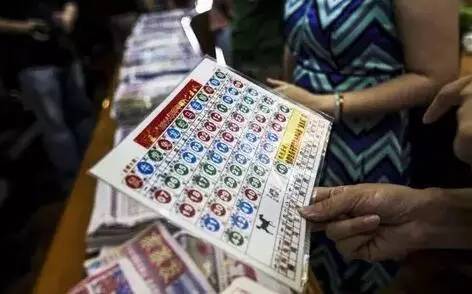香港澳门开奖结果 开奖结果记录，全面释义解释落实