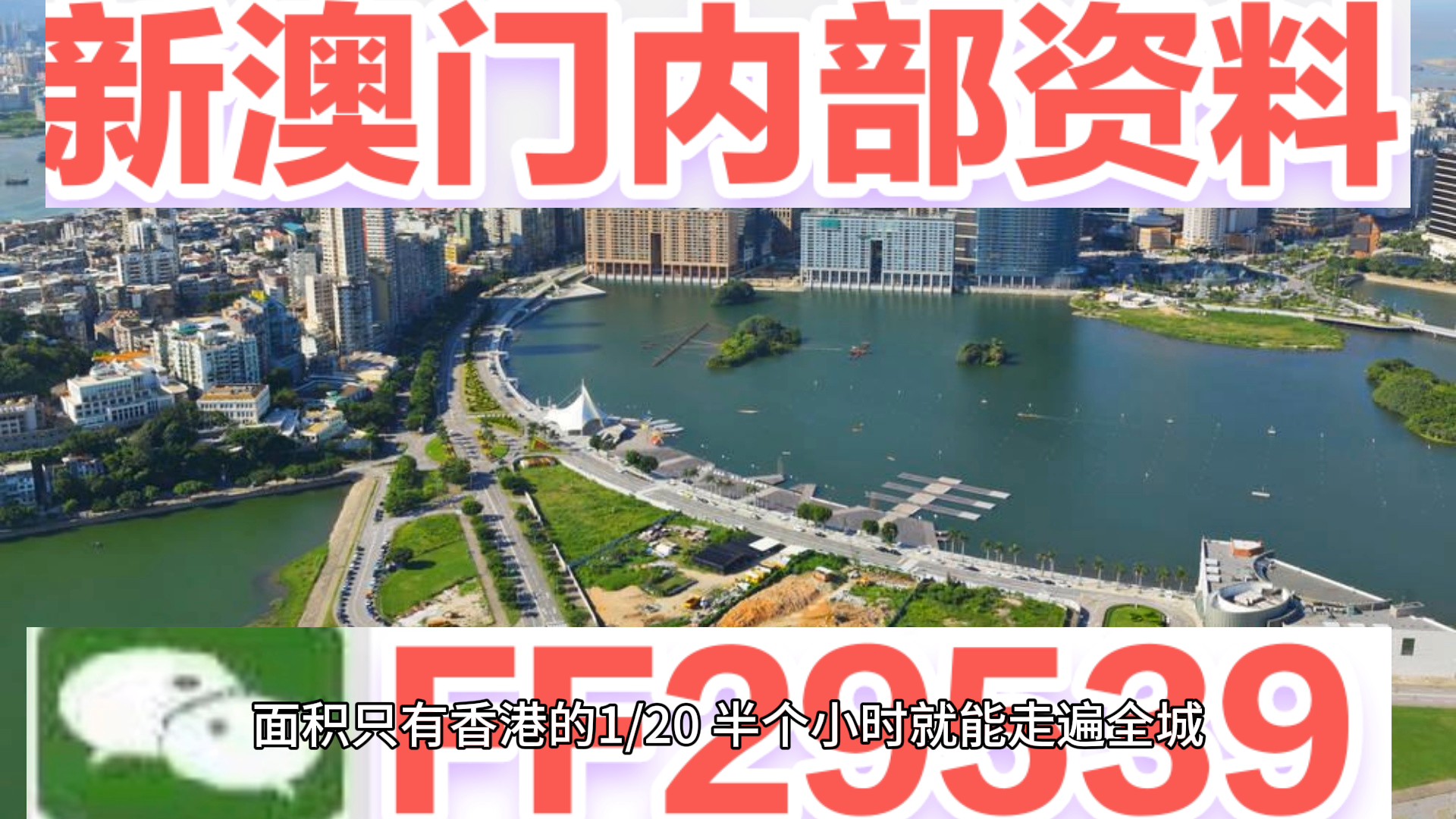 2025新澳门开奖查询，全面释义解释落实