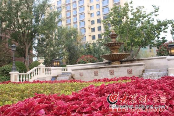 东营西苑丽景最新房价