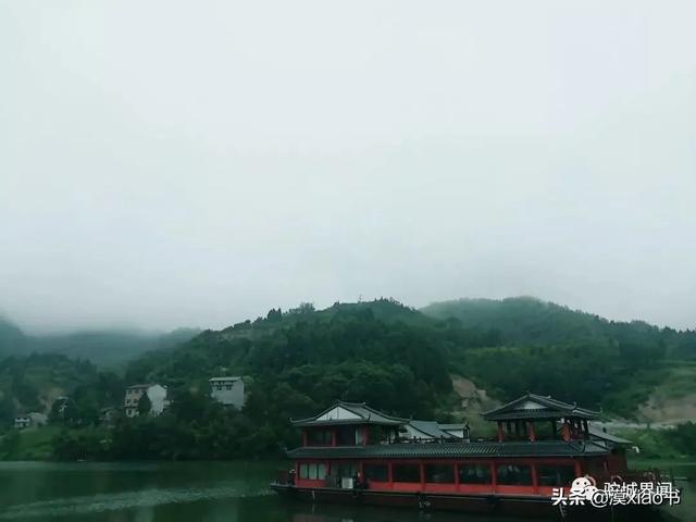 山阳县杨地镇最新消息