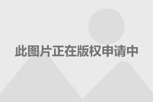 标致508
