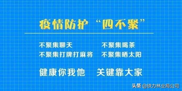 2025新澳门精准正版免费,详细解答、解释与落实