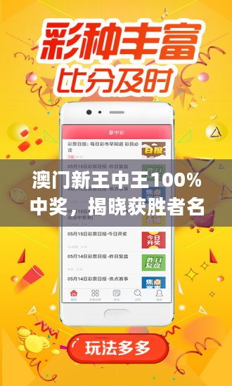 澳门王中王100%期期中,详细解答、解释与落实