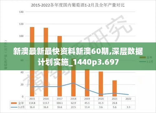 2025新澳精准正版免費資料,详细解答、解释与落实