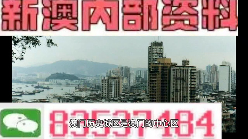 2025澳门和香港精准正版免费四不像全面解析与落实防范措施