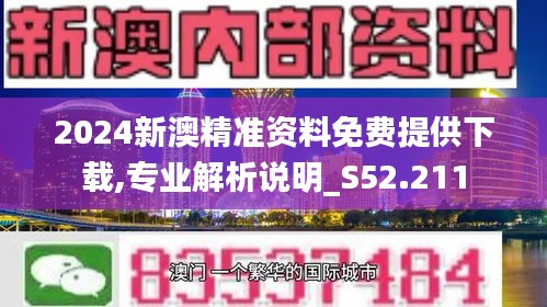 2025新澳精准正版免費資料,详细解答、解释与落实