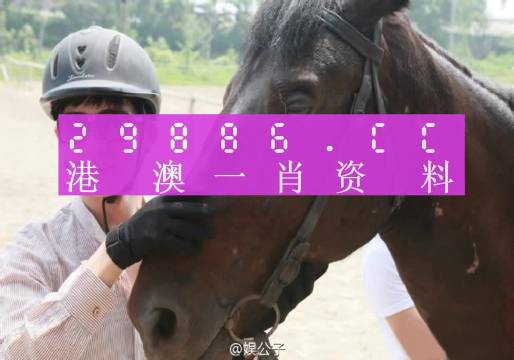 澳门一肖一码一中一特,详细解答、解释与落实