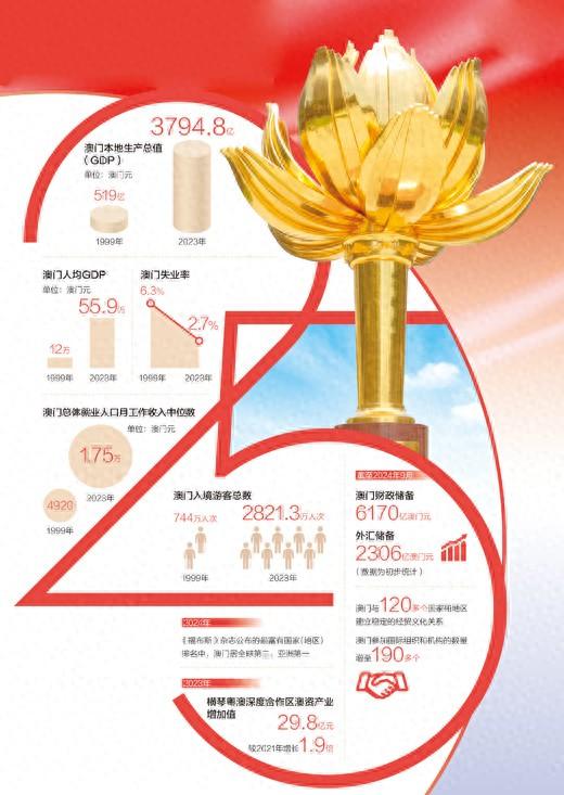 2025澳门正版图库,详细解答、解释与落实