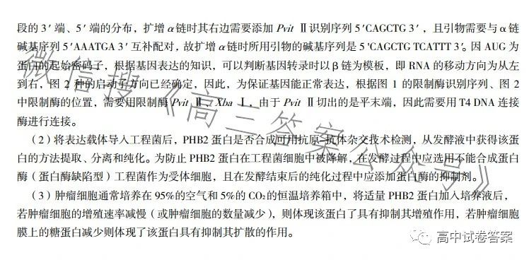 最准一肖100%中一奖,详细解答、解释与落实