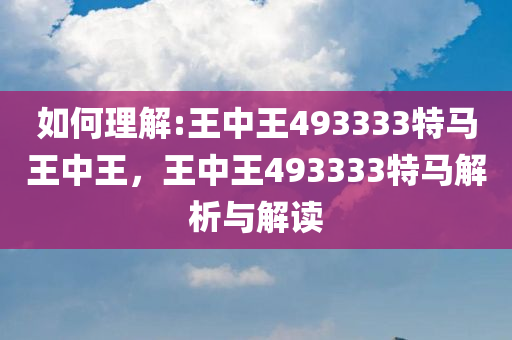 王中王493333中特马诗,详细解答、解释与落实