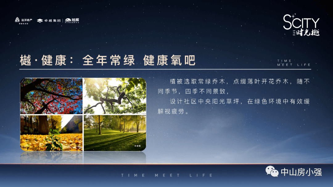 2025-2026全年正版资料免费资料大全中特的全面释义、解释