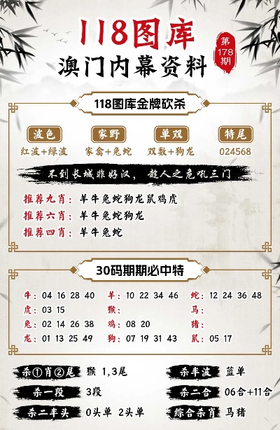 澳门管家婆100精准,详细解答、解释与落实
