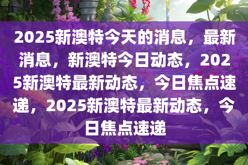 2025新澳特今天的消息,详细解答、解释与落实