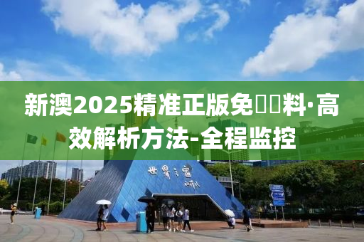 新澳2025精准正版免費資料,详细解答、解释与落实