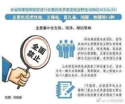 2025正版资料免费大全,详细解答解释落实_的警惕虚假宣传