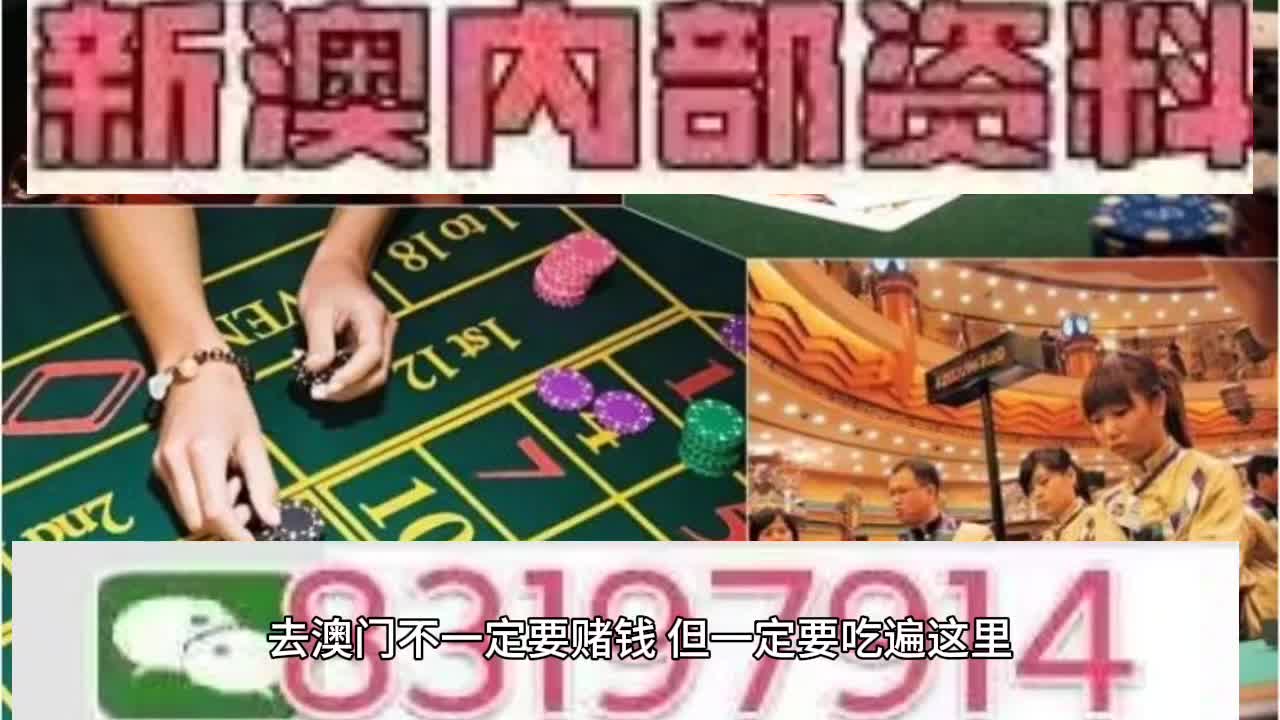 2025新澳门天天免费精准,详细解答、解释与落实